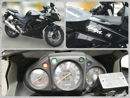 専用です DAYTONA（デイトナ） 48930 ヘルメット シールド DN-003NM用